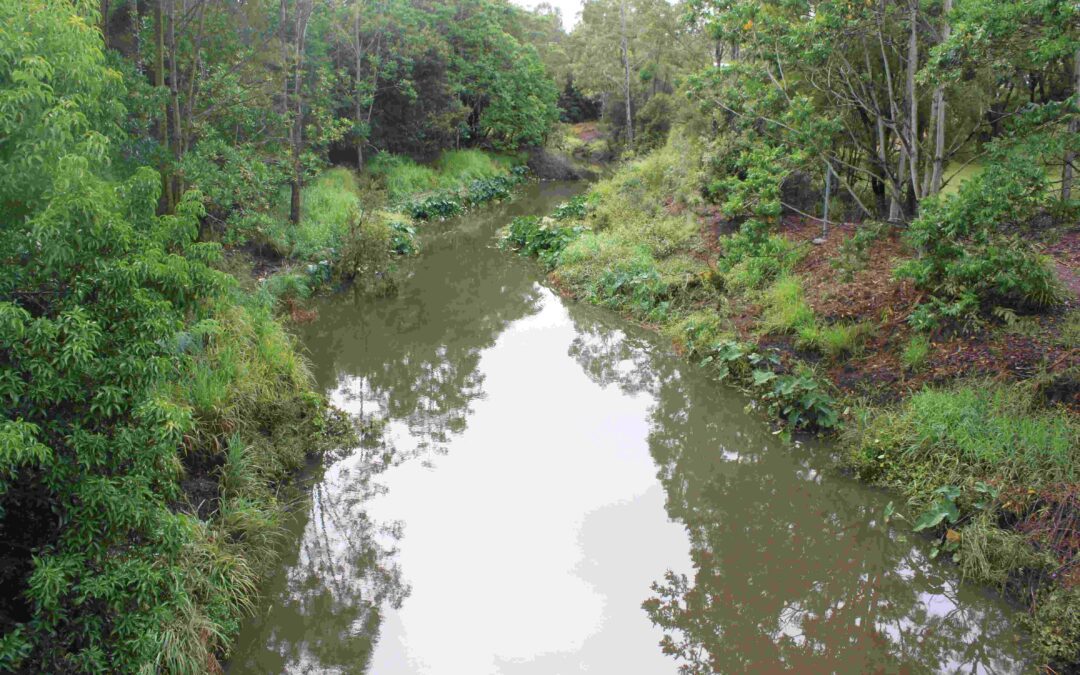 Upstream from bridge 2015