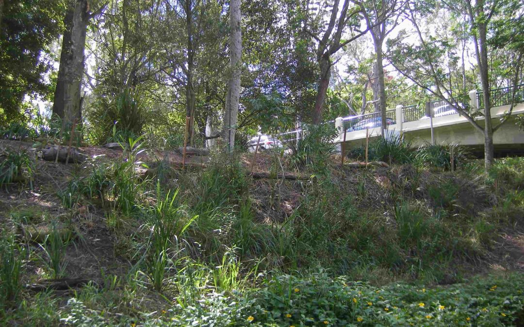 Arnwood Place View B - April 2019