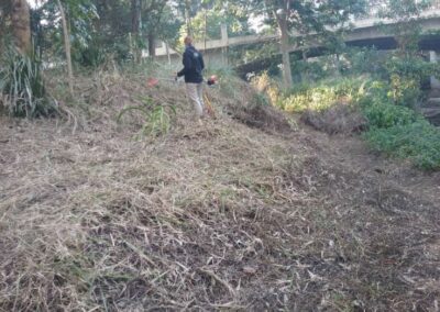 Arnwood Place View C - Clearing Dead Weeds