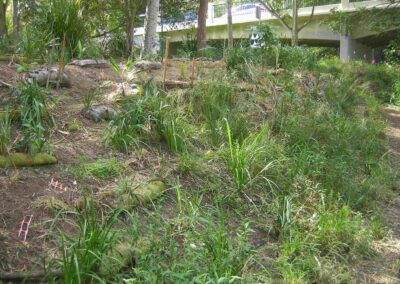 Arnwood Place View D - April 2019