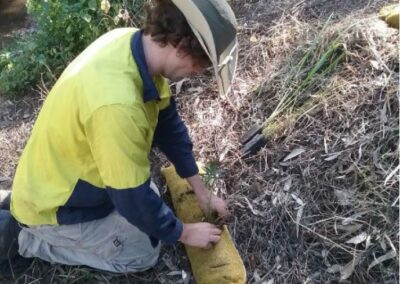 Arnwood Place Installing the Tubestock
