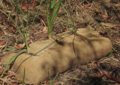 Arnwood Place Jute Bag Planting Jan 2019