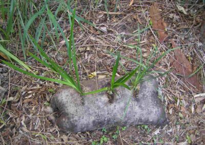 Arnwood Place Jute Bag Planting April 2019