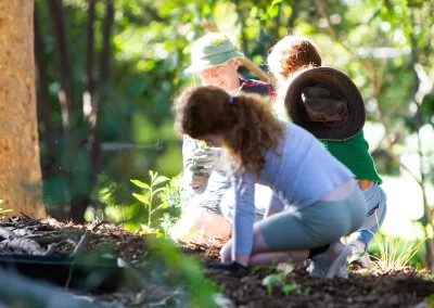 banner balis park planting norman park catchment 2