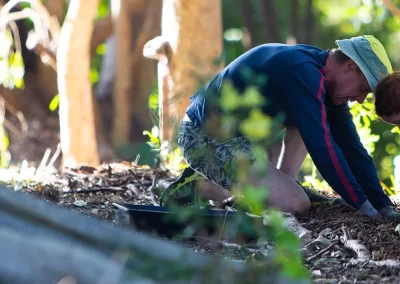 banner balis park planting norman park catchment