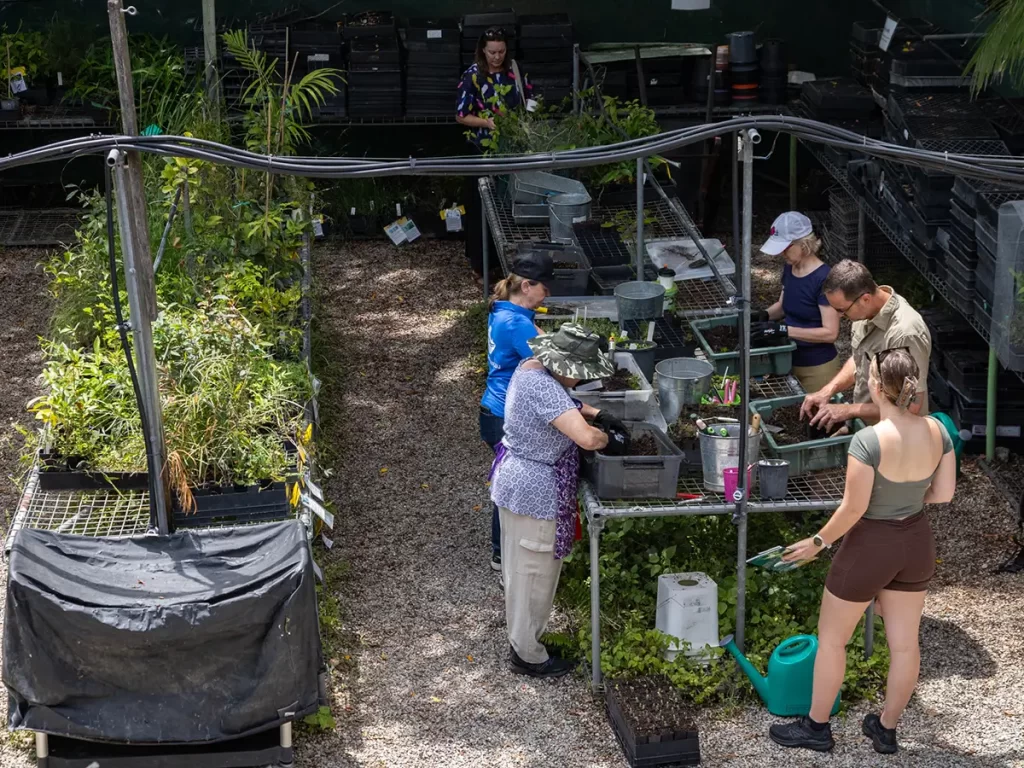 norman creek catchment nursery
