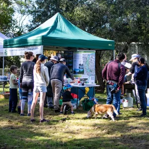 norman creek catchment committee membership