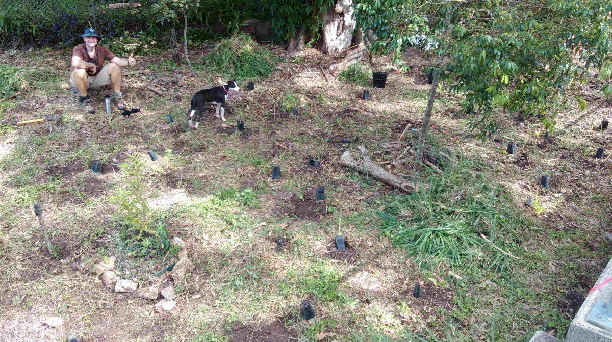 2a14beb1aee2d71c6fecb12f25c690f7_L Buranda Bushcare
