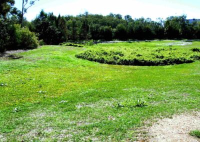 Barr St Park July 2007 Mown grass and weeds