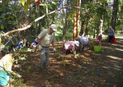 Finger Gullies 2016 planting