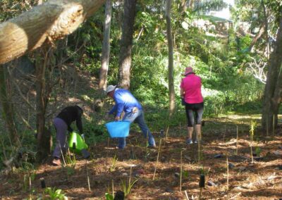 Finger Gullies 2016 watering