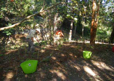 Finger Gullies B4C helping with planting