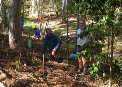 Finger Gullies may 2016 planting
