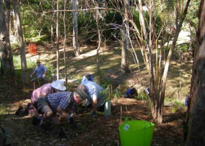 Finger Gullies may 2016 planting2