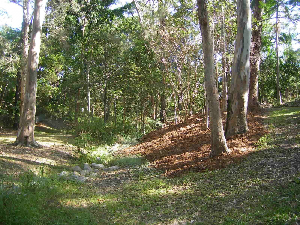 Coorparoo Finger Gullies