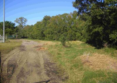 Heath Park Vehicle traffic killing the marine couch