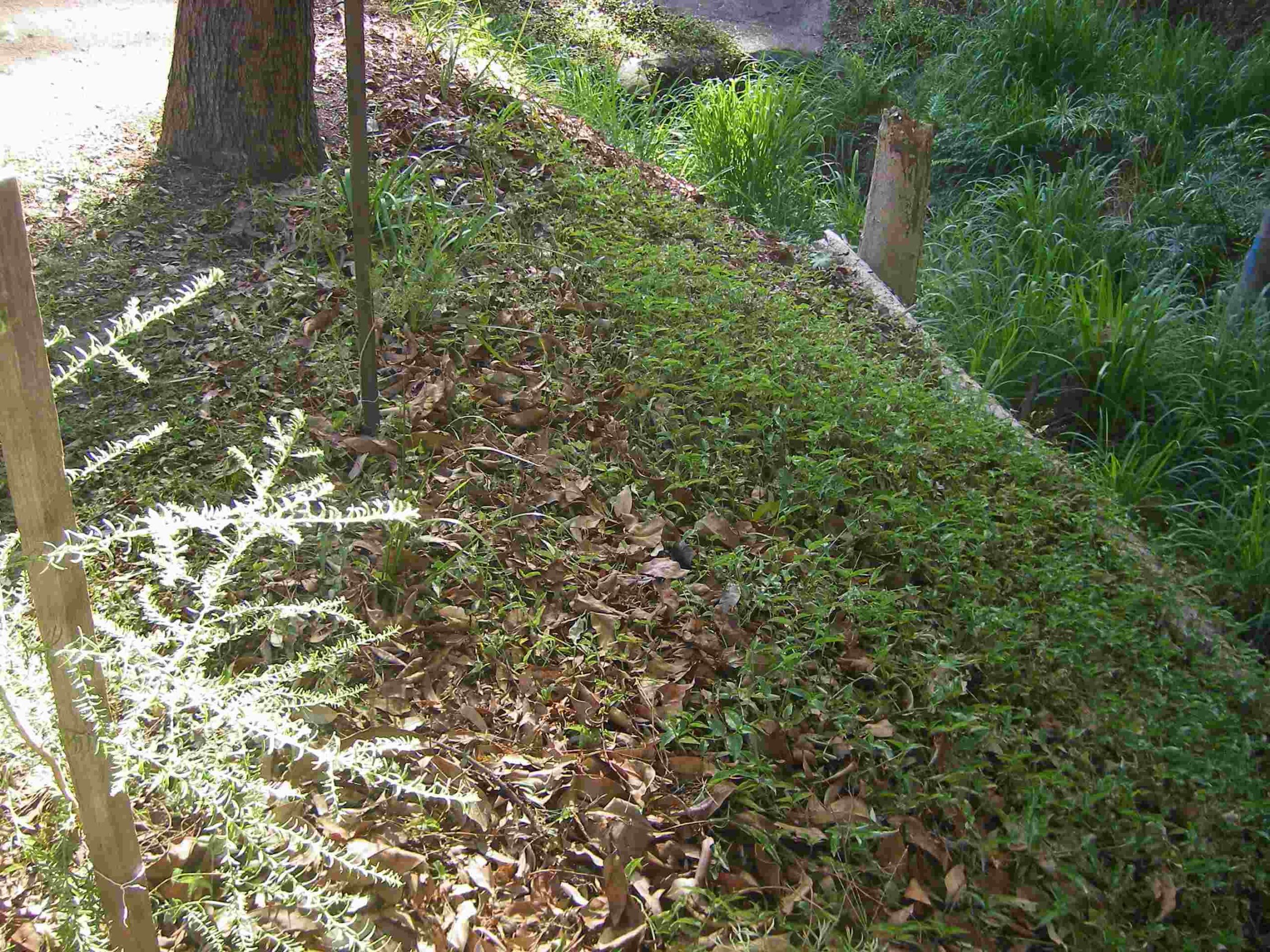 Tarragindi Conservation Park