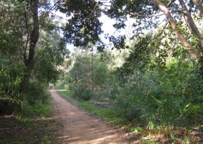 leafy path Moorhen Flats
