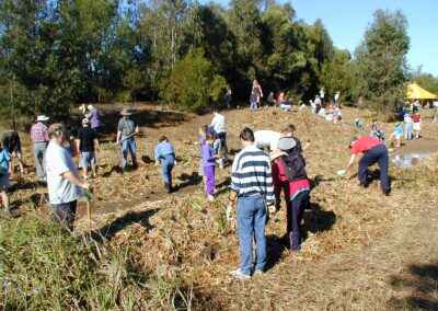Planting at Frog Pond Moorhen Flats