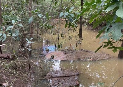 the creek at Moorhen Flats