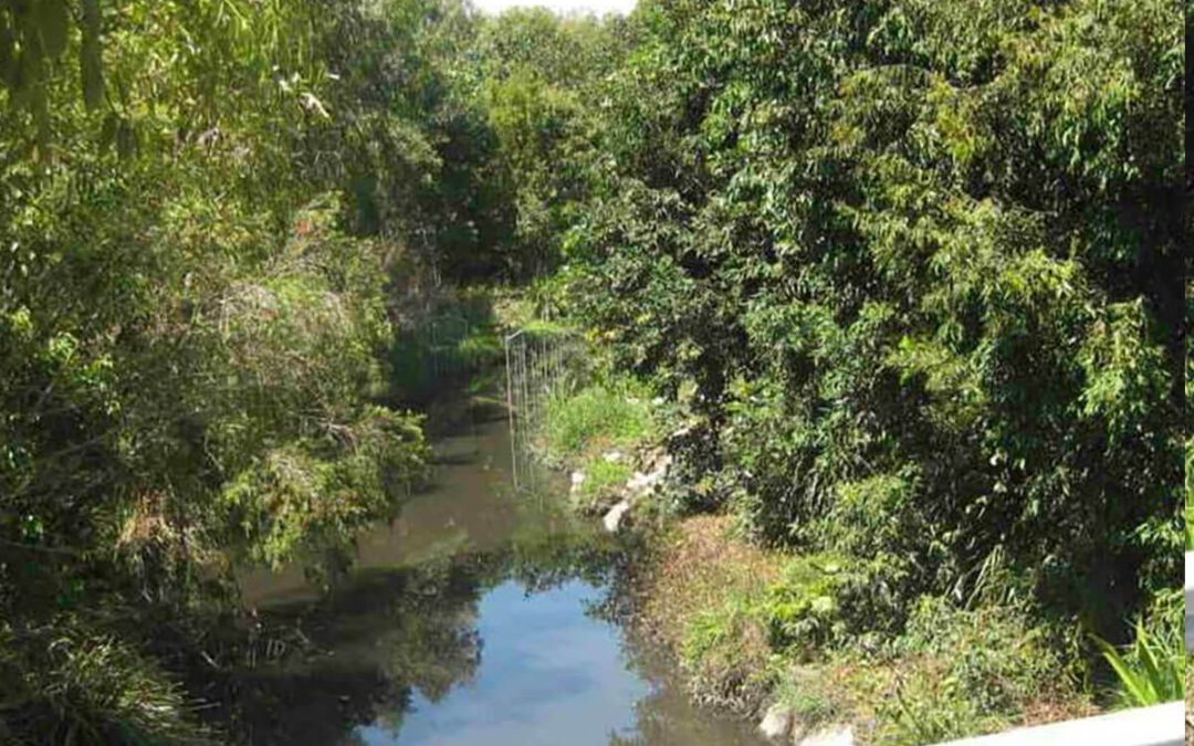 Projects | Norman Creek Catchment Coordinating Committee