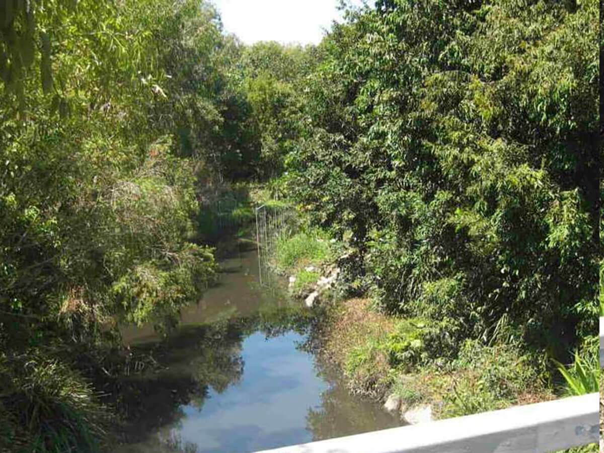 Bridgewater Creek Freecs
