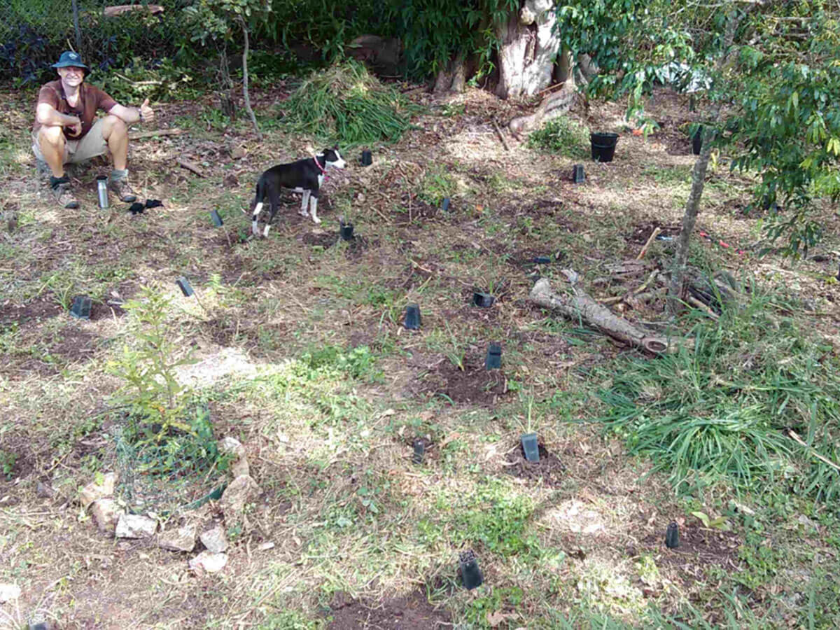 Buranda Bushcare Group