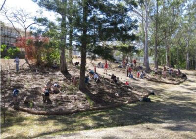 Finger gullies Eva Park Community Planting 08092019